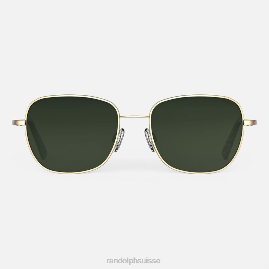 Randolph cecil Or satiné 23 carats et feuillage persistant lentille polarisée en nylon dégradé PDX28661