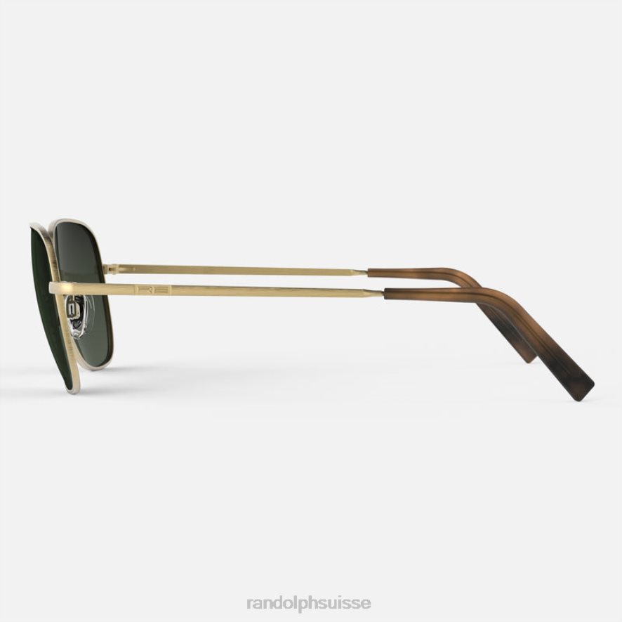 Randolph cecil Or satiné 23 carats et feuillage persistant lentille polarisée en nylon dégradé PDX28661