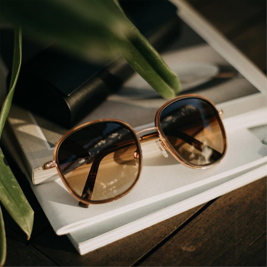 Randolph fusion d\'élinor or rose 22 carats et incrustation de tortue de chocolat noir et sable du cap lentille en nylon dégradé non polarisée PDX286107