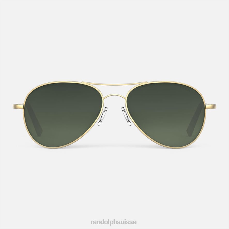 Randolph Amélia Or satiné 23 carats et feuillage persistant lentille polarisée en nylon dégradé PDX28665